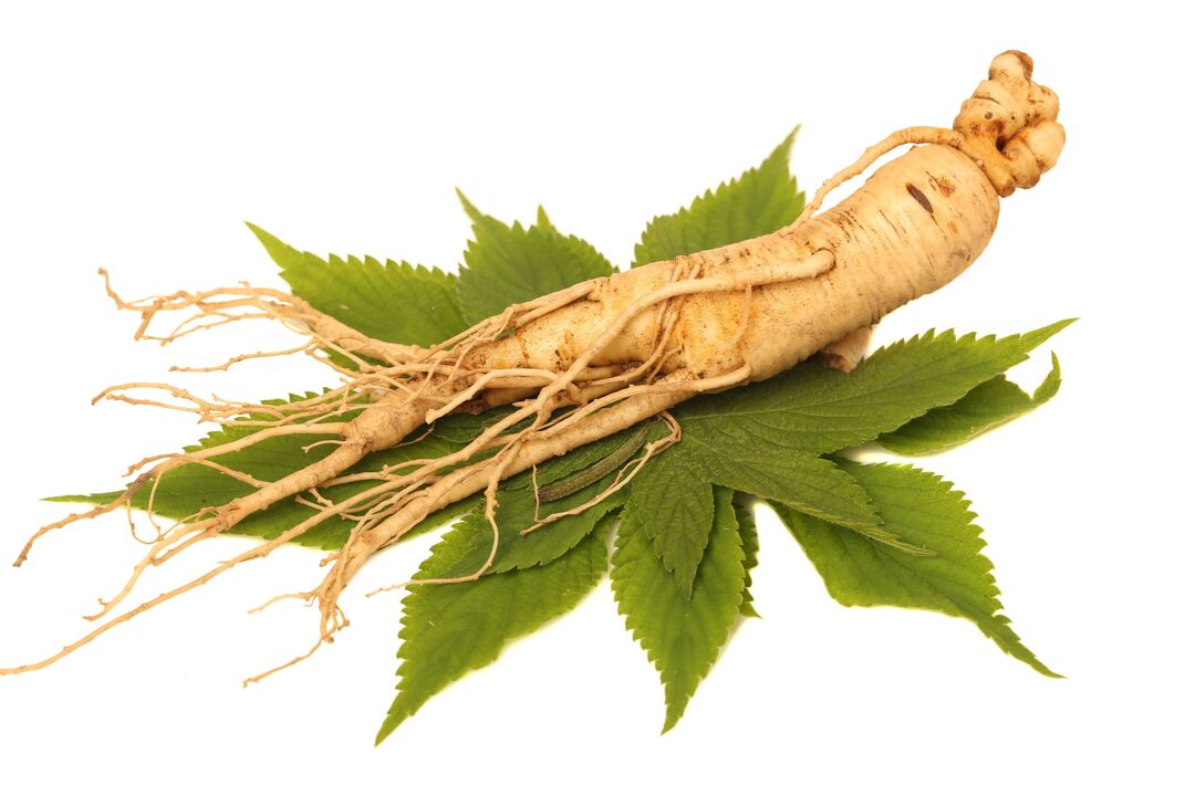 ginseng em Big Size